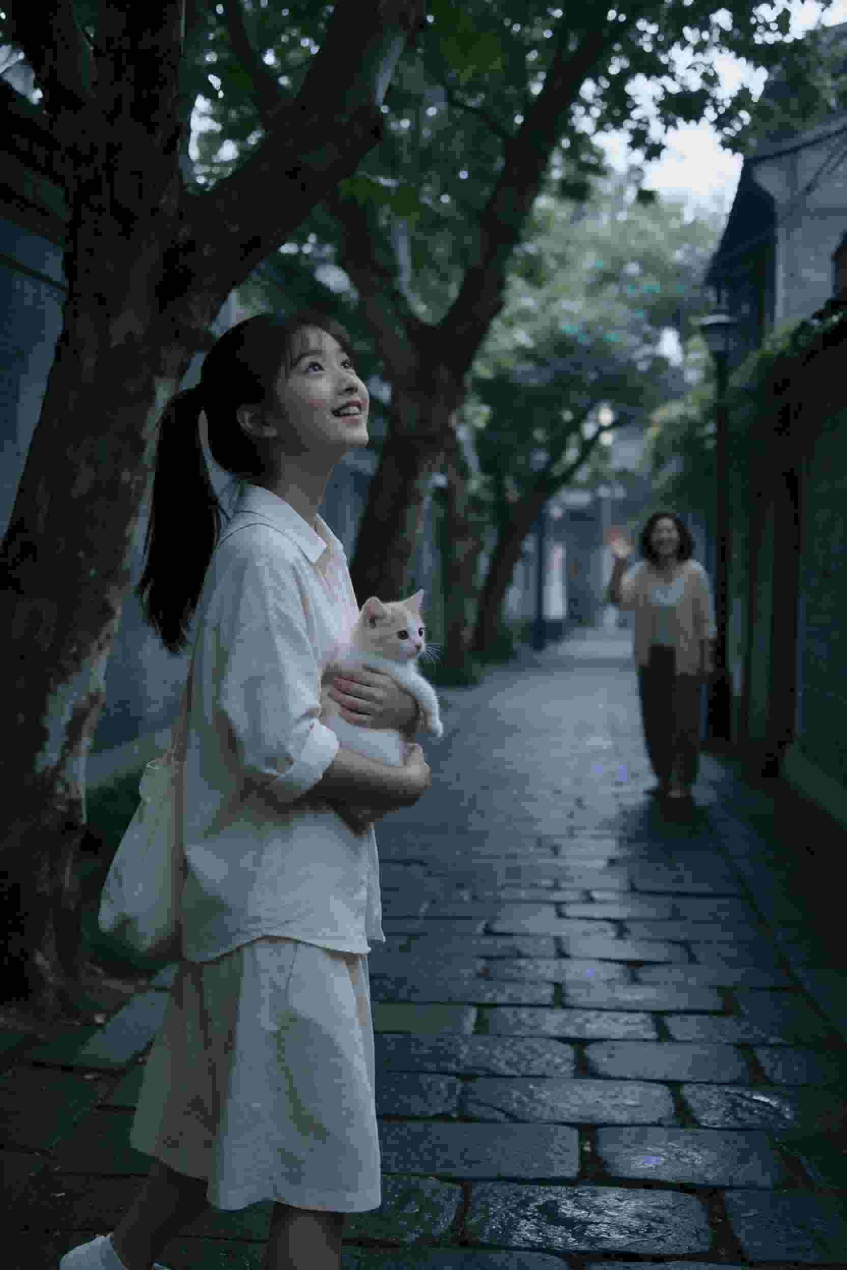 狐妖小红娘